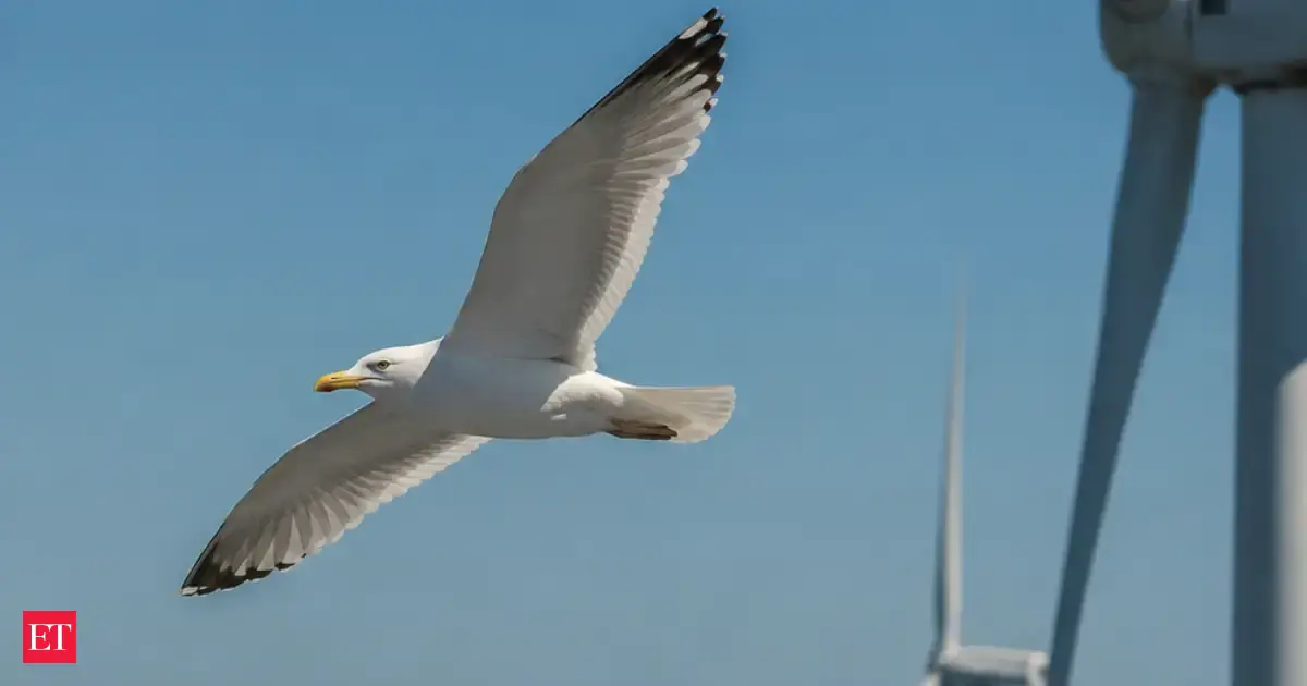 A wind farm in Poland became so loud that local birds started singing louder to compete with the noise
