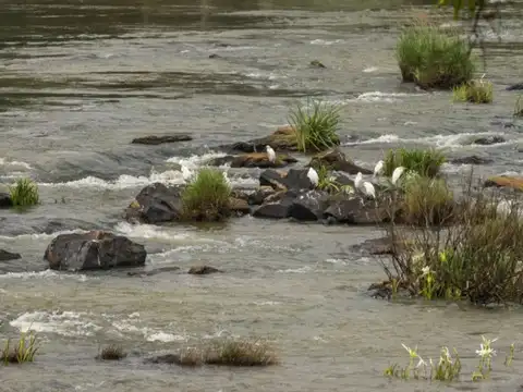 Kaveri River (Upper Karnataka & Coorg region)