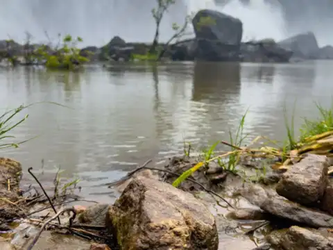 Chalakudy River (Kerala)