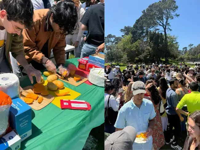'Best mangoes I've had': Inside the San Francisco party serving ...