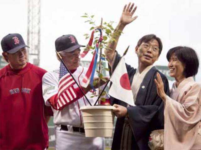 Hikihara presents the Boston Red Sox with a cherry tree