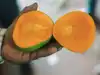 Famous alphonso mango is facing existential crisis this year