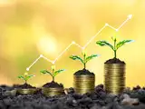 Quant Mutual Fund bets on under-owned, under-researched, undervalued and neglected territory stocks for alpha generation