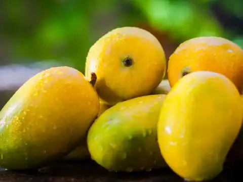 Mangoes: Not just a summer treat