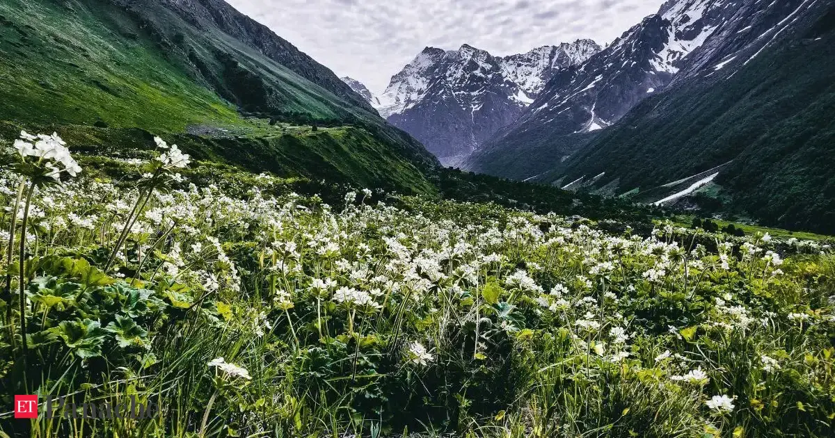India's magical Valley reopens again for visitors, but only for a few months. Trekking, a UNESCO site, rare flowers and Himalayan views. How to reach, nearby attractions