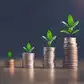 Image for Best large cap mutual funds to invest in