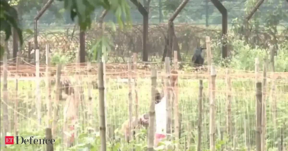 West Bengal hands over 32 acres to BSF for Bangladesh border fencing