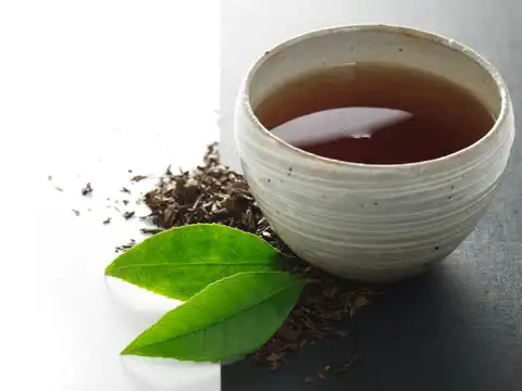 Japan- Hōjicha