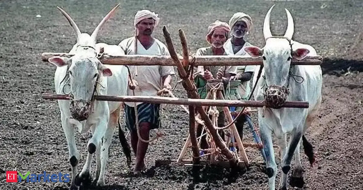 Deficient monsoon risk rises, but macro impact on GDP expected to stay muted