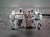 Weak monsoon