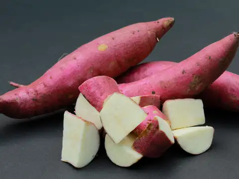 Sweet Potato