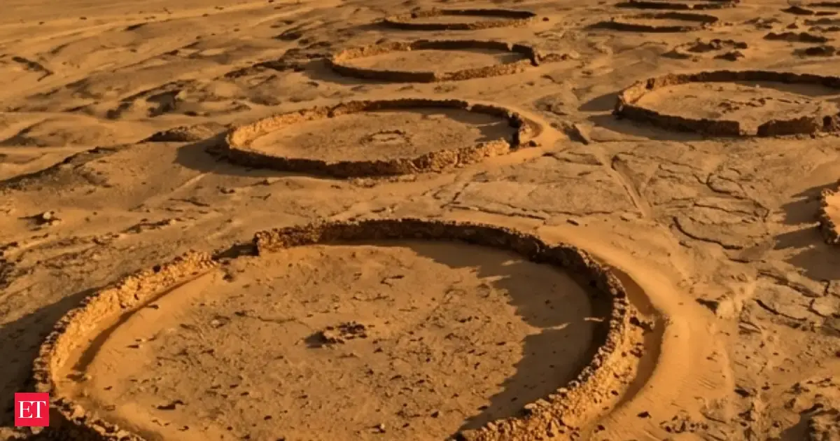Hidden beneath the Sahara, satellite scans uncovered 260 circular mass graves filled with cattle and human remains of a 6,000-year-old nomadic elite