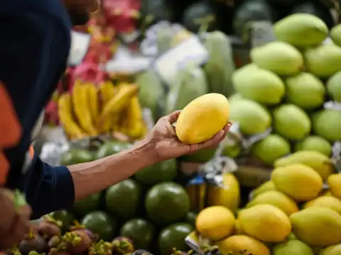 Check the shape &mdash; not all mangoes are equal
