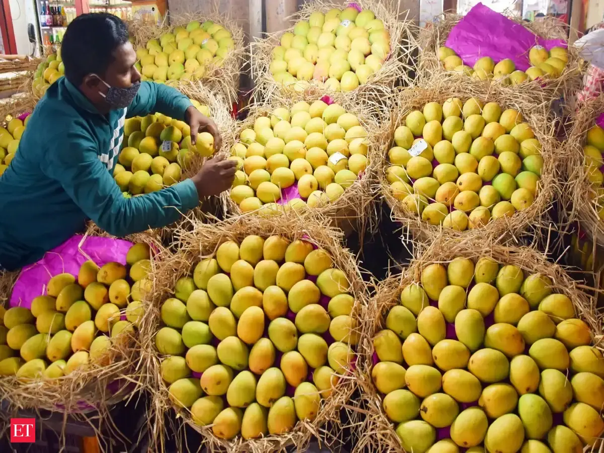 Dark spots on Bengal's Himsagar mangoes cast shadow on export shipment
