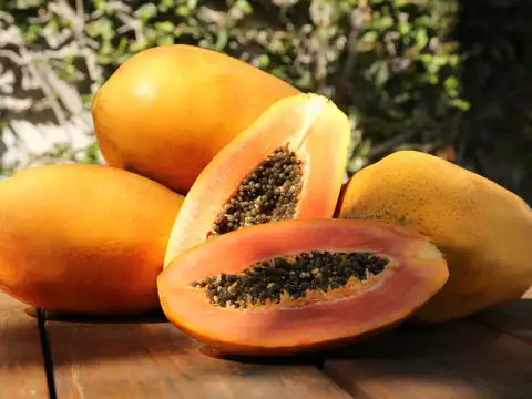 Papaya