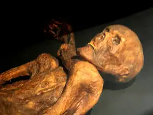 The mummified remains of Ötzi on display at the South Tyrol Museum of Archaeology<br>