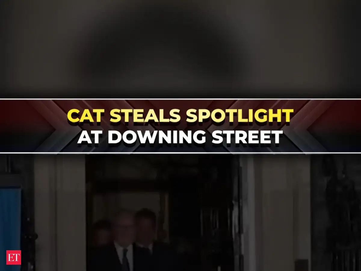 Cat spotted leaving Downing Street as Starmer, Zelenskyy, Ma