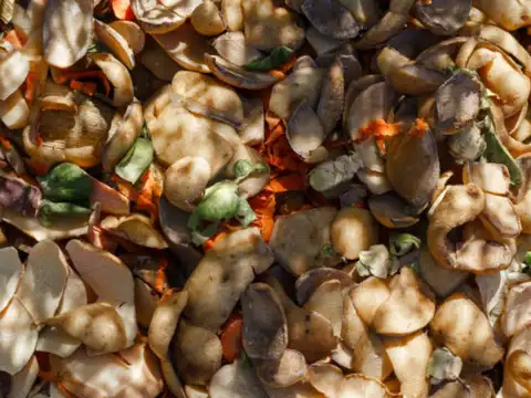 ​Turn potato peels into plant power​