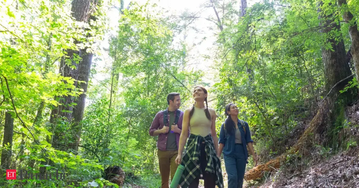The Emerald Labyrinth: Louisiana’s “Year of Outdoors” theme offers curated nature trails and context-rich travel