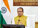 Science at scale: India&rsquo;s journey from food security to global leadership