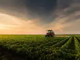 BRICS+ agriculture beyond borders: Trade and resilience for a food-secure world