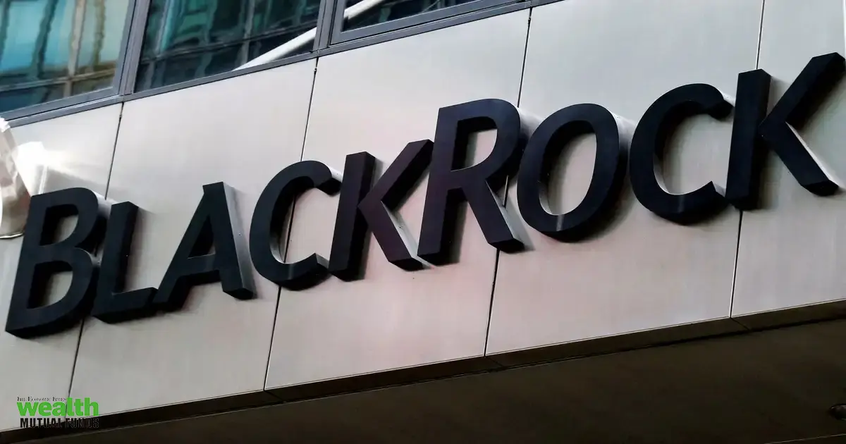 BlackRock to offer space ETF that will add new IPOs within days