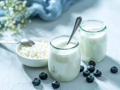 ​Kefir​