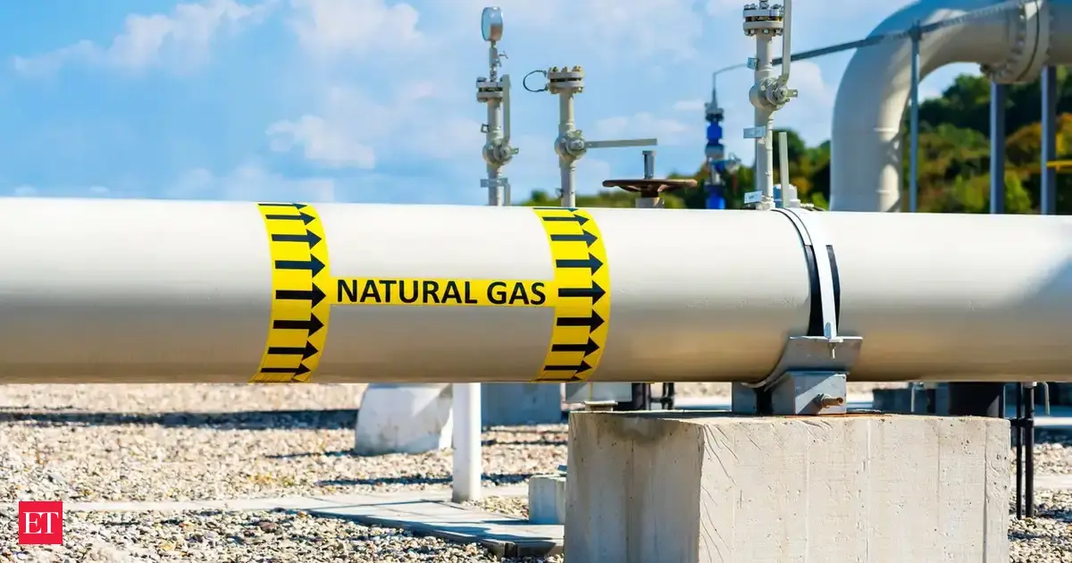 Companies seek lifting of curbs on gas pipeline integration