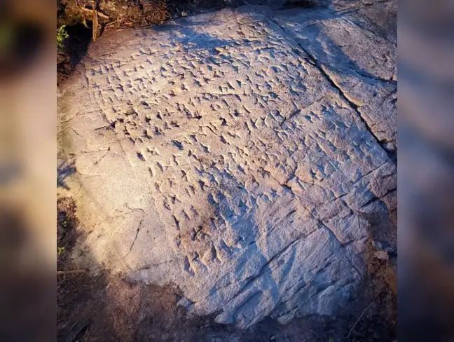 How a runestone in Ontario became one of North America’s most ...