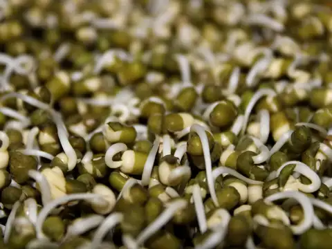 Sprouted moong salad for protein and fibre