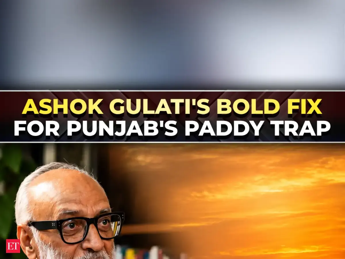 Why Punjab keeps growing paddy? Ashok Gulati explains the su