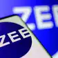 Image for Zee Entertainment to raise $241 million 