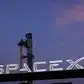 Image for SpaceX IPO a bid too far? Some opt for a