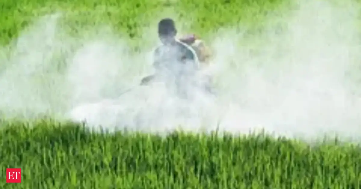 India fertilizer offers sink in sign of easing supply strain