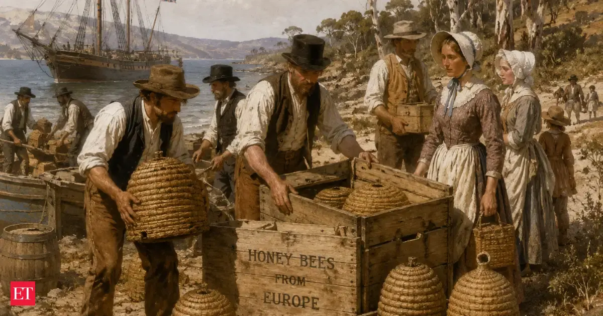 In 1822, Europeans brought honey bees to Australia as agricultural heroes; 200 years later, researchers found they were helping tree death spread faster than wind