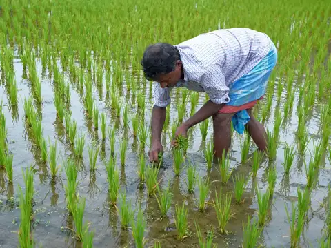 Available modes of e-KYC under PM-Kisan