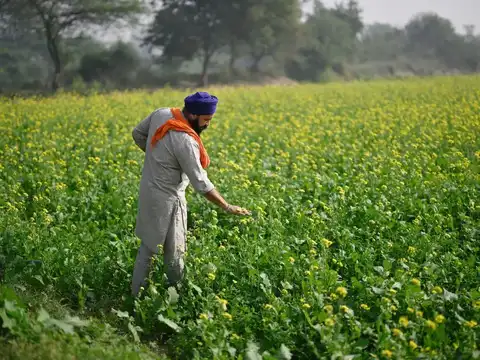 How to check PM Kisan beneficiary status