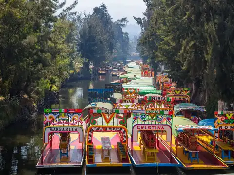 Discover the Canals of Xochimilco