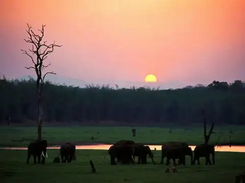Kabini Wildlife Sanctuary, Karnataka