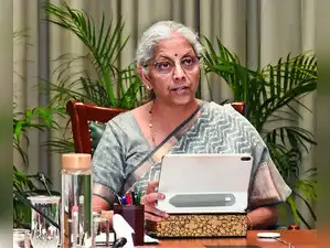 FM Flags Global Crisis Spillovers,Unfair Burden on Developing Nations