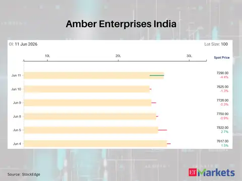 Amber Enterprises India