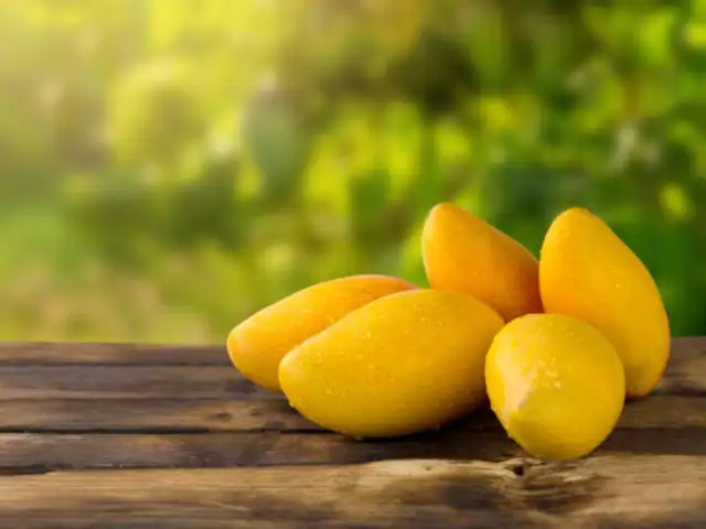 Nature's shield against everyday cell damage