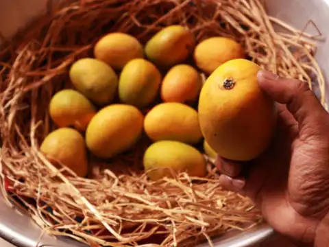 ​Your gut will thank you for this sweet treat​