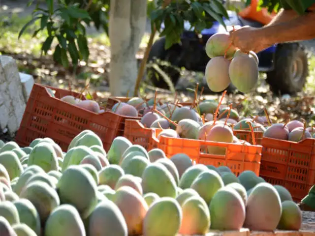 ​Give your immune system a tropical boost​