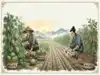 Chinese proverb of the day: 'A man who plants melons will harvest melons, and a man who plants...' - inspiring lessons on life's choices, value of consistent effort, consequences how actions shapes our outcomes