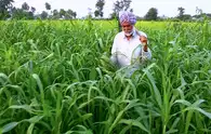 Farm credit demand likely to stay strong in FY27 on higher input costs, agri investments: NABARD
