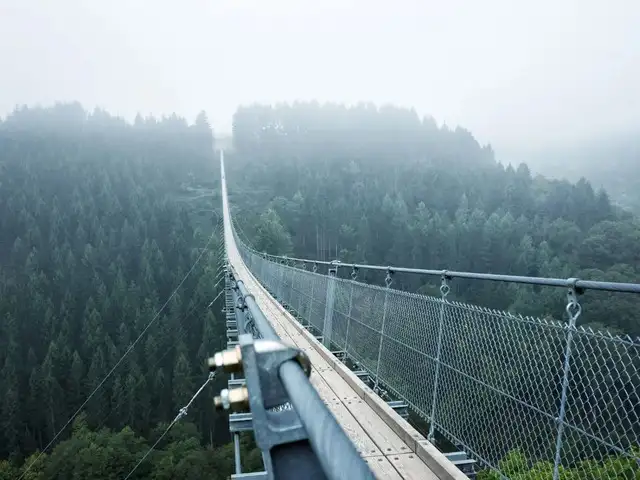 Walk the Suspension Bridge at Geierlay