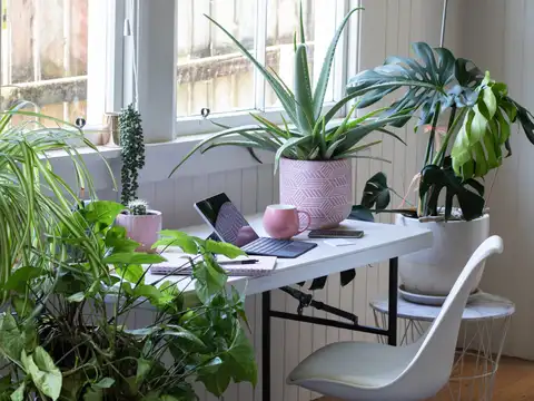Proper ventilations for your plants is a must