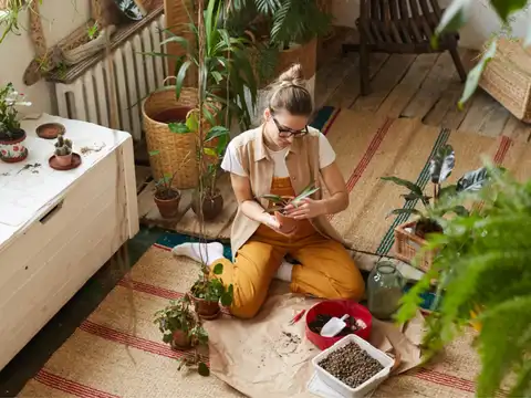 Examine your plants for possible signs of infection