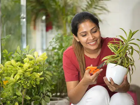 Moderate the use of your fertilisers during the growth season